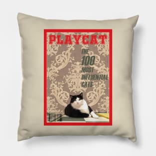 Playcat Pillow