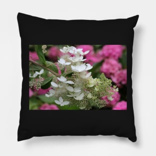 Floating beauties Pillow