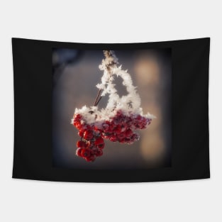 Berries in Ice Tapestry