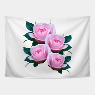 pink roses, rose, flower, blooms, garden Tapestry