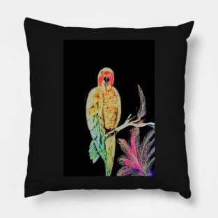 LUSTRE TROPICAL PARAKEET ON BLACK Pillow