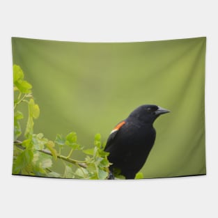 red wing black bird Tapestry