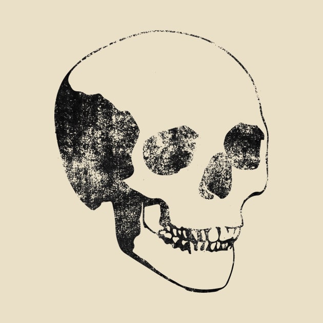 Skull by inbis