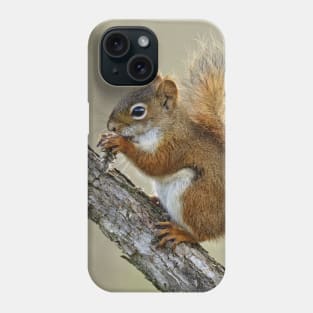 Red Squirrel Phone Case