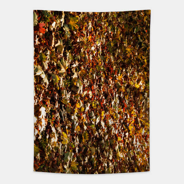 Autumn Leaves Fallen On To Forest Surface Tapestry by textural