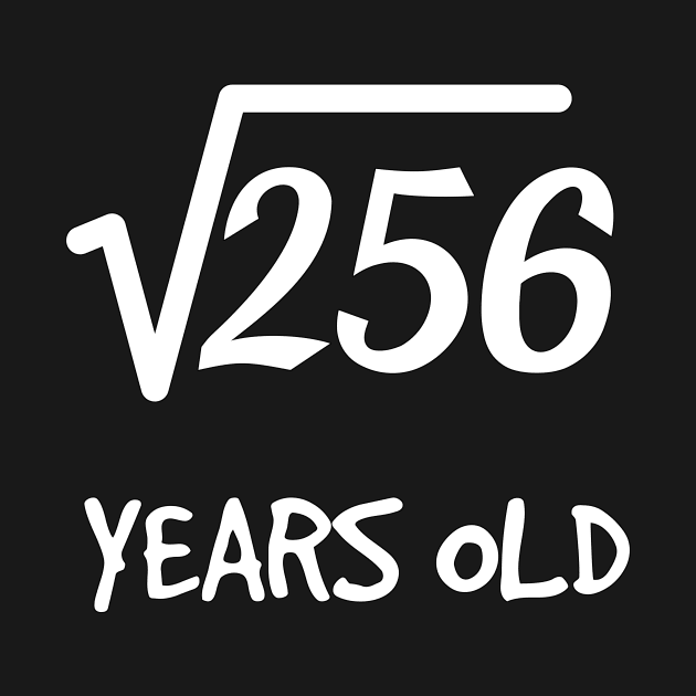 Square Root of 256: 16th Birthday 16 Years Old Teen Boy Girl by rayrayray90