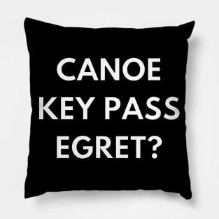 Can you keep a secret? Pillow