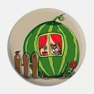 watermelon house Pin