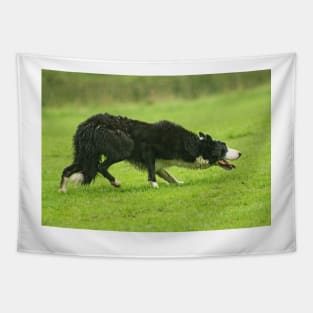 Working Sheepdog Tapestry