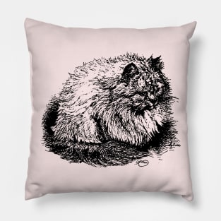 Family Friendly Long Haired Cat Shirt Pillow