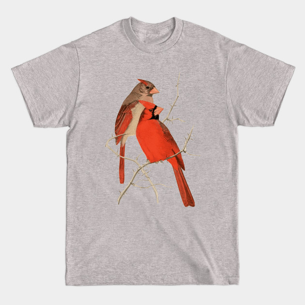 Vintage Cardinals Illustration - Cardinal - T-Shirt