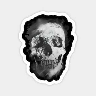 Fading Skull Magnet