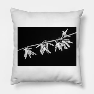 Forsythia 3 BW Pillow