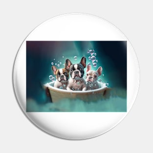 French Bulldog Pups in a Tub Pin