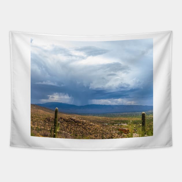 Thunderstorm Tapestry by MCHerdering