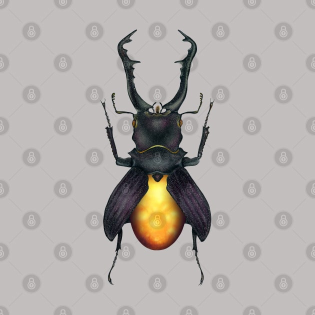 Amber Beetle by illucalliart