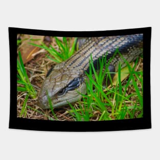 Blue Tongue Lizard enjoying the Sun! Tapestry