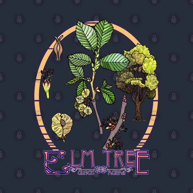 Elm Tree by ThisIsNotAnImageOfLoss