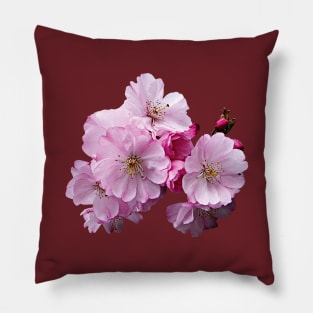 Cherry Blossoms - Closeup of Cherry Blossoms Pillow