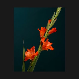 Orange Gladiolus T-Shirt