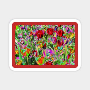 Colours of New England - Designer 016406 x1 Magnet