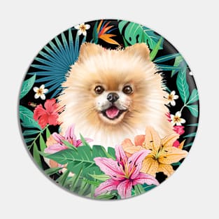 Tropical Pomeranian 5 Pin