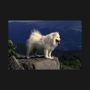 Samoyed Standing on a Rock in France T-Shirt