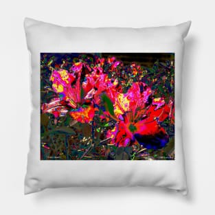 Color Climax Pillow