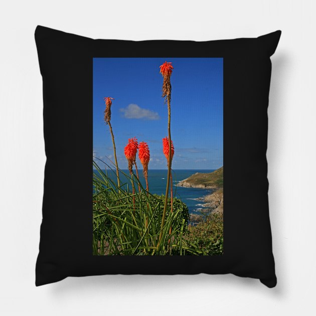 North Devon Coast Pillow by RedHillDigital