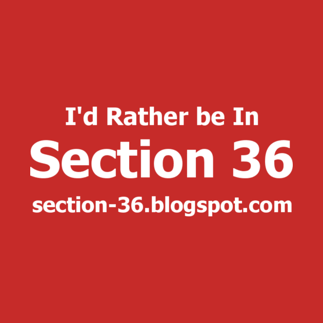 RBI Section 36 Print by Section36