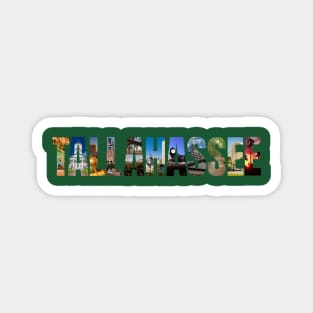 TALLAHASSEE Magnet