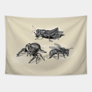 insects illustration, bee, spider and grasshopper Tapestry