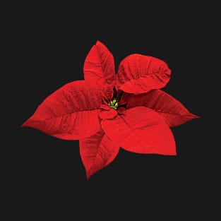 Poinsettias - Bright Red Poinsettia T-Shirt