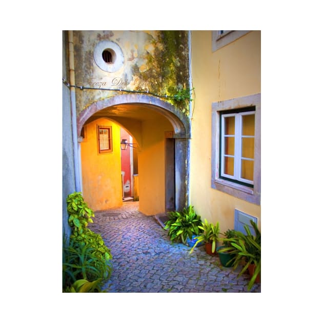 arco. sintra . lisbon.portugal by terezadelpilar