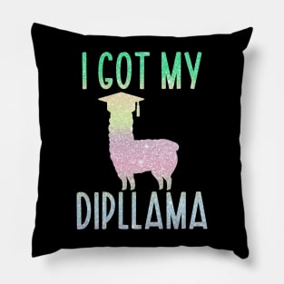 I Got My Dipllama Pillow