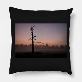 Chelsworth Park Sunset Pillow