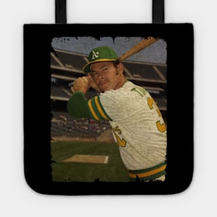 Gene Tenace in Oakland Athletics, 1972 Tote