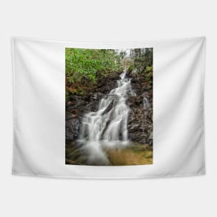 Comers Creek Tapestry