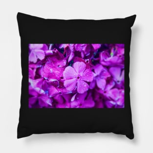 Purple Flower Pillow