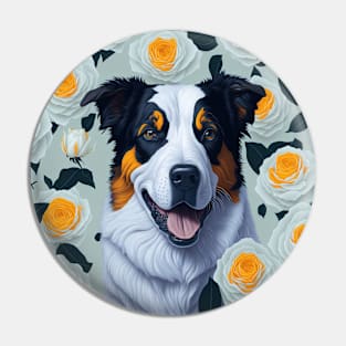 Australian Shepherd yellow roses Pin