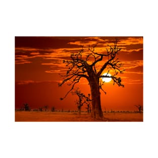 Beautiful Sunset scenery from Desert T-Shirt