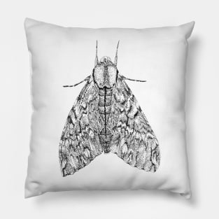 Black & white moth butterfly drawing - Privet Hawk Moth (Psilogramma menephron) Pillow