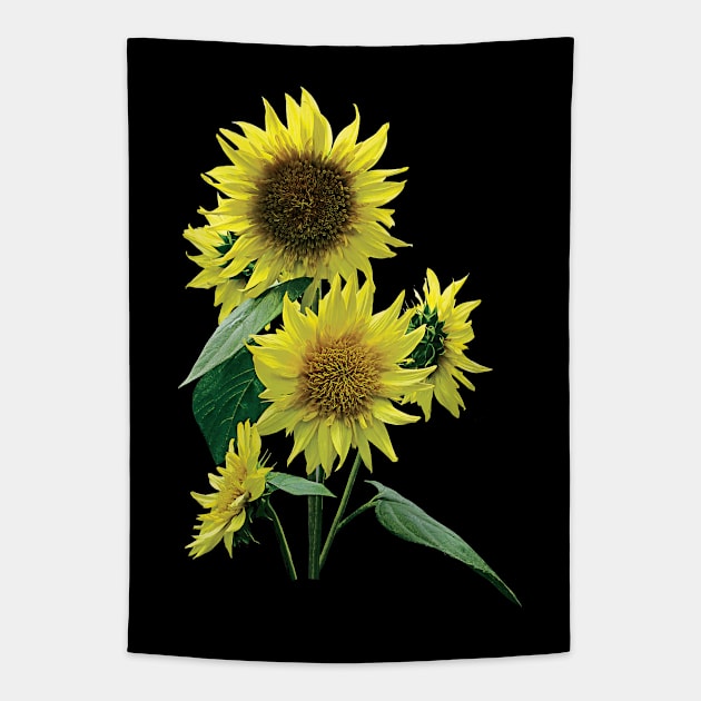 Sunflowers - Group of Sunflowers Tapestry by SusanSavad