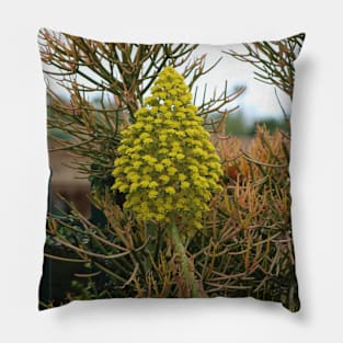 Pencil Plants and Fence Nature Photograph Pillow