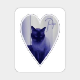My lovely sentimental vintage Siamese Cat Magnet