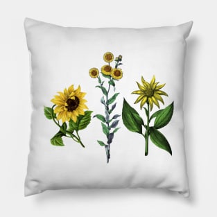 Vintage Botanical Flower Pillow