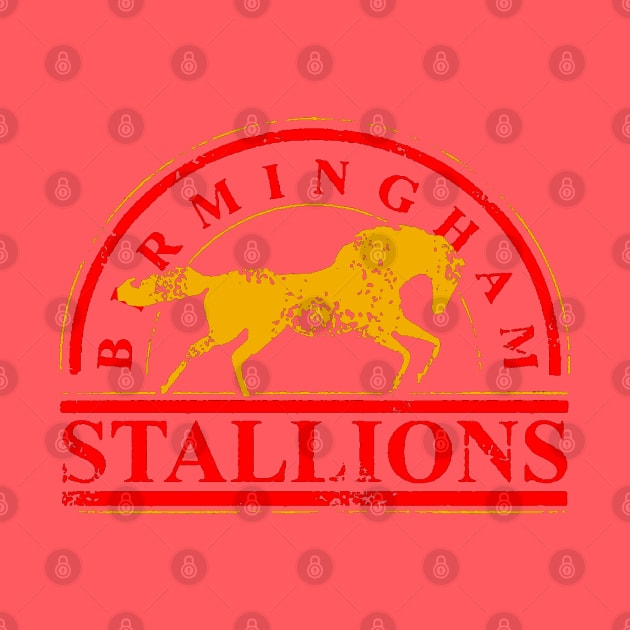 BIRMINGHAM STALLIONS VINTAGE by thedeuce