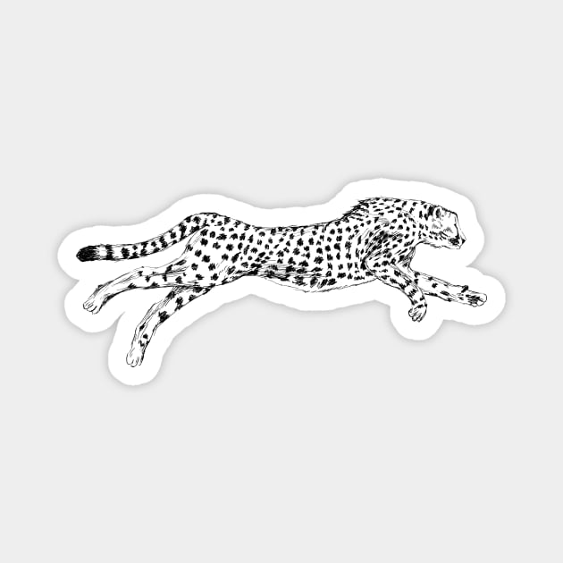 Cheetah print Magnet by rachelsfinelines