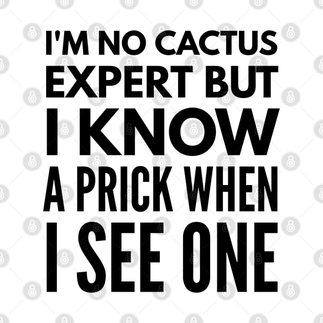 I'm No Cactus Expert But I Know A Prick When I See One - Funny Sayings by Textee Store