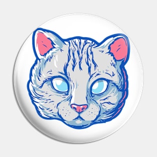 Cat Gaze Pin